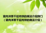 猪肉洋葱千层肉饼的做法介绍窍门（猪肉洋葱千层肉饼的做法介绍）