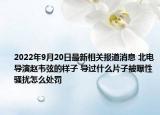 2022年9月20日最新相关报道消息 北电导演赵韦弦的样子 导过什么片子被曝性骚扰怎么处罚