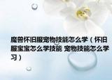 魔兽怀旧服宠物技能怎么学（怀旧服宝宝怎么学技能 宠物技能怎么学习）