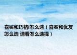 喜鲨和巧格i怎么选（喜鲨和优友怎么选 请看怎么选择）