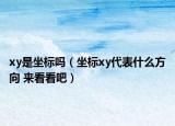 xy是坐标吗（坐标xy代表什么方向 来看看吧）