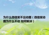 为什么微信发不出动图（微信发动图为什么不动 如何解决）