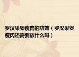 罗汉果煲瘦肉的功效（罗汉果煲瘦肉还需要放什么吗）