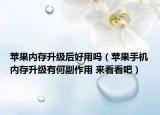 苹果内存升级后好用吗（苹果手机内存升级有何副作用 来看看吧）