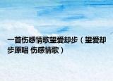 一首伤感情歌望爱却步（望爱却步原唱 伤感情歌）