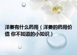 洋姜有什么药用（洋姜的药用价值 你不知道的小知识）
