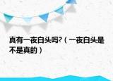 真有一夜白头吗?（一夜白头是不是真的）