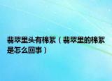 翡翠里头有棉絮（翡翠里的棉絮是怎么回事）