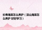 长寿海棠怎么养护（深山海棠怎么养护 好好学习）