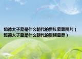 懿德太子墓是什么朝代的贵族墓葬图片（懿德太子墓是什么朝代的贵族墓葬）