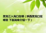 黑龙江入海口在哪（陕西黑龙口在哪里 下面简单介绍一下）