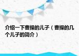 介绍一下曹操的儿子（曹操的几个儿子的简介）