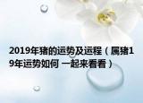 2019年猪的运势及运程（属猪19年运势如何 一起来看看）