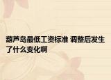 葫芦岛最低工资标准 调整后发生了什么变化啊