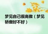 梦见自己很高傲（梦见骄傲好不好）