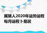 属猪人2020年运势运程每月运程卜易居