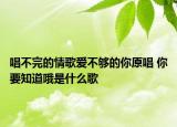 唱不完的情歌爱不够的你原唱 你要知道哦是什么歌