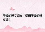 干燥的近义词义（词语干燥的近义词）