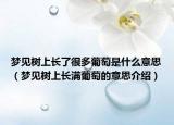 梦见树上长了很多葡萄是什么意思（梦见树上长满葡萄的意思介绍）