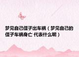 梦见自己侄子出车祸（梦见自己的侄子车祸身亡 代表什么呢）