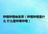 哔哩哔哩啥意思（哔哩哔哩是什么 什么是哔哩哔哩）