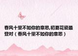 春风十里不如你的意思,初夏花瓷最登对（春风十里不如你的意思）