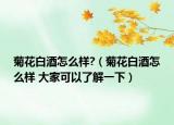 菊花白酒怎么样?（菊花白酒怎么样 大家可以了解一下）