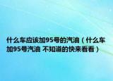 什么车应该加95号的汽油（什么车加95号汽油 不知道的快来看看）