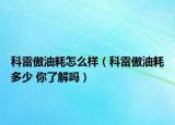 科雷傲油耗怎么样（科雷傲油耗多少 你了解吗）