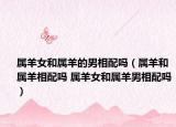 属羊女和属羊的男相配吗（属羊和属羊相配吗 属羊女和属羊男相配吗）