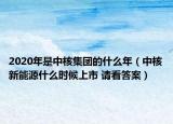2020年是中核集团的什么年（中核新能源什么时候上市 请看答案）