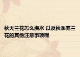 秋天兰花怎么浇水 以及秋季养兰花的其他注意事项呢