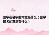 言字在名字的寓意是什么（言字取名的寓意有什么）