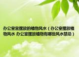 办公室宜摆放的植物风水（办公室摆放植物风水 办公室摆放植物有哪些风水禁忌）
