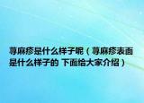 荨麻疹是什么样子呢（荨麻疹表面是什么样子的 下面给大家介绍）