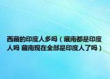 西藏的印度人多吗（藏南都是印度人吗 藏南现在全部是印度人了吗）