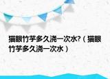 猫眼竹芋多久浇一次水?（猫眼竹芋多久浇一次水）
