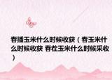 春播玉米什么时候收获（春玉米什么时候收获 春茬玉米什么时候采收）