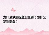 为什么梦到捉鱼没抓到（为什么梦到捉鱼）