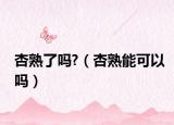 杏熟了吗?（杏熟能可以吗）