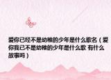 爱你已经不是幼稚的少年是什么歌名（爱你我已不是幼稚的少年是什么歌 有什么故事吗）
