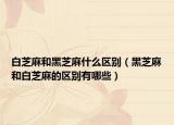 白芝麻和黑芝麻什么区别（黑芝麻和白芝麻的区别有哪些）