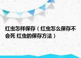 红虫怎样保存（红虫怎么保存不会死 红虫的保存方法）