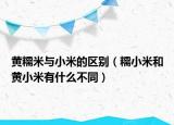 黄糯米与小米的区别（糯小米和黄小米有什么不同）