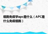 细胞免疫学apc是什么（APC是什么免疫细胞）