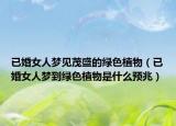 已婚女人梦见茂盛的绿色植物（已婚女人梦到绿色植物是什么预兆）