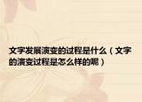 文字发展演变的过程是什么（文字的演变过程是怎么样的呢）