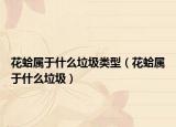 花蛤属于什么垃圾类型（花蛤属于什么垃圾）
