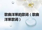 歌曲洋葱的歌词（歌曲洋葱歌词）