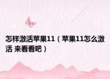 怎样激活苹果11（苹果11怎么激活 来看看吧）